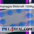 Kamagra Sildenafil 100Mg 21